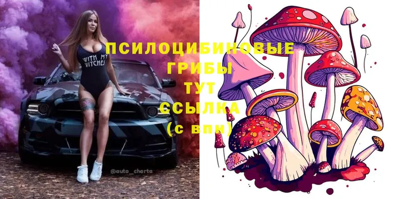 Галлюциногенные грибы MAGIC MUSHROOMS Катав-Ивановск